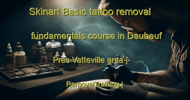 Skinart Basic tattoo removal fundamentals course in Daubeuf Pres Vatteville area | RemovalTraining | RemovalClasses | SkinartTraining-France